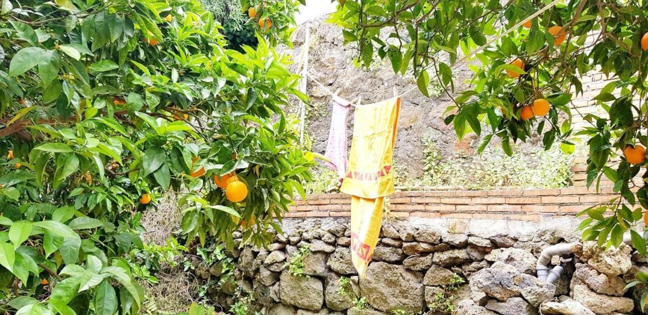 Willa L'Aranceto Acireale Zewnętrze zdjęcie