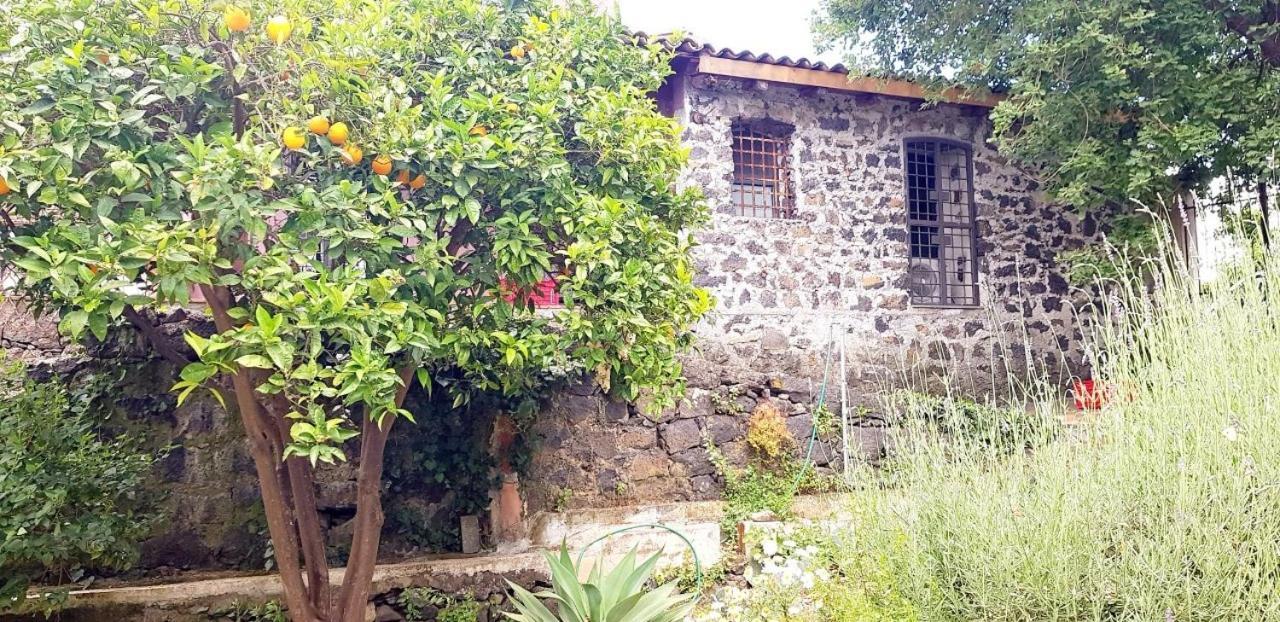 Willa L'Aranceto Acireale Zewnętrze zdjęcie
