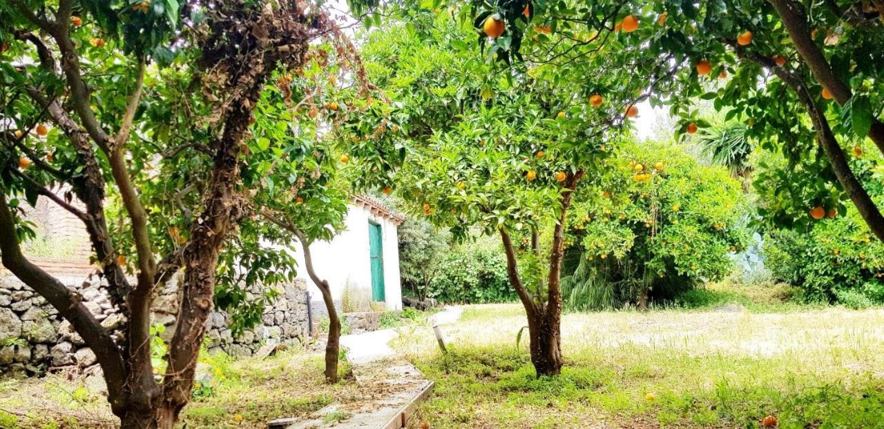 Willa L'Aranceto Acireale Zewnętrze zdjęcie